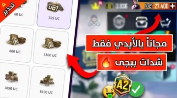 هسه استلم 4200 شده.. خطوات شحن شدات ببجي موبايل عن طريق الموقع الرسمي في ثواني.. عرض لا يفوت